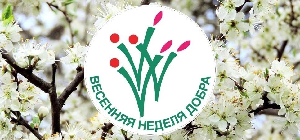 Районная добровольческая акция &amp;quot;Весенняя Неделя Добра-2025&amp;quot;..